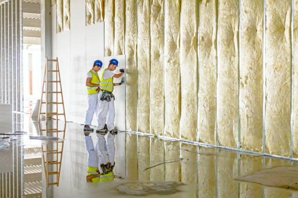 Best Commercial Insulation in Surgoinsville, TN